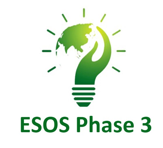 ESOS Phase 3 Logo Lightbulb