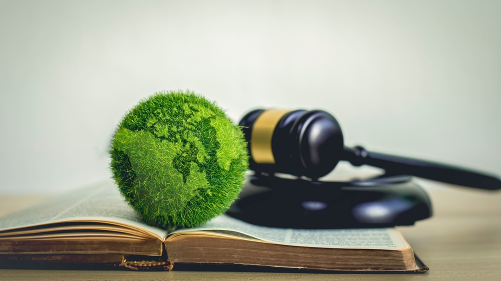 gavel