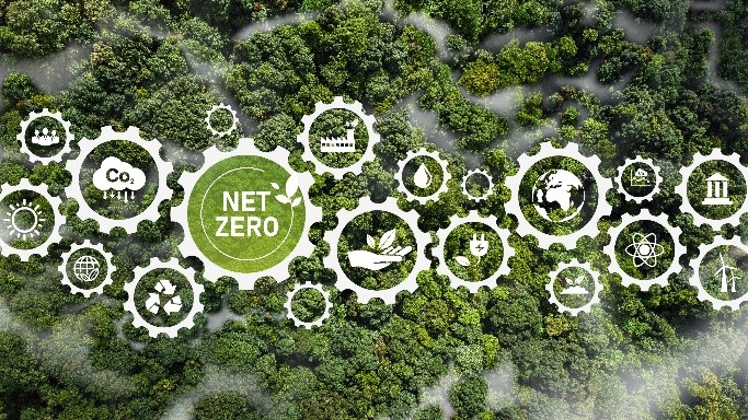 Net Zero Cogs